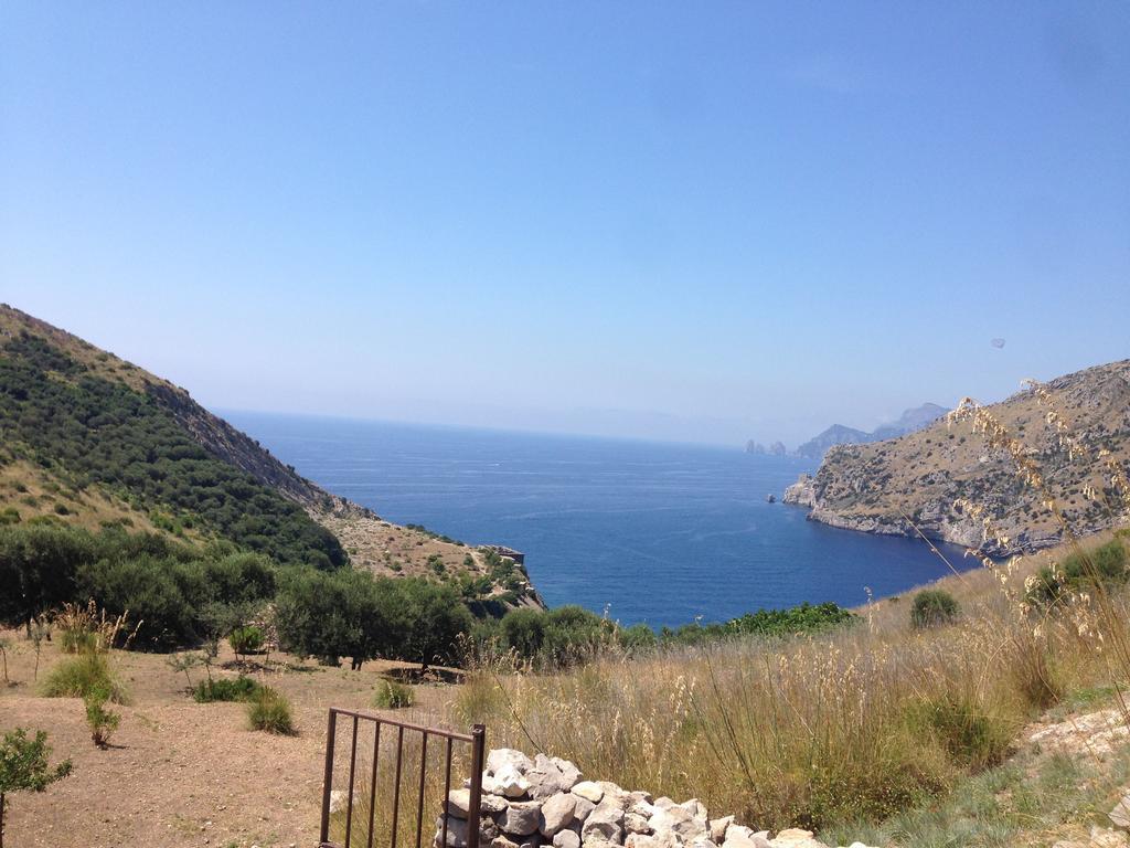 Olga'S Residence Relais Nerano Exterior photo